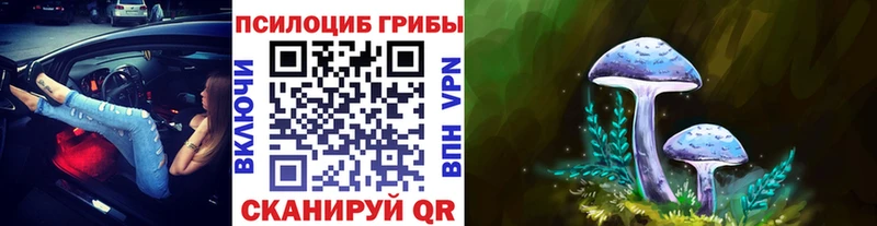 мориарти телеграм  Калач  Галлюциногенные грибы MAGIC MUSHROOMS  магазин продажи наркотиков 